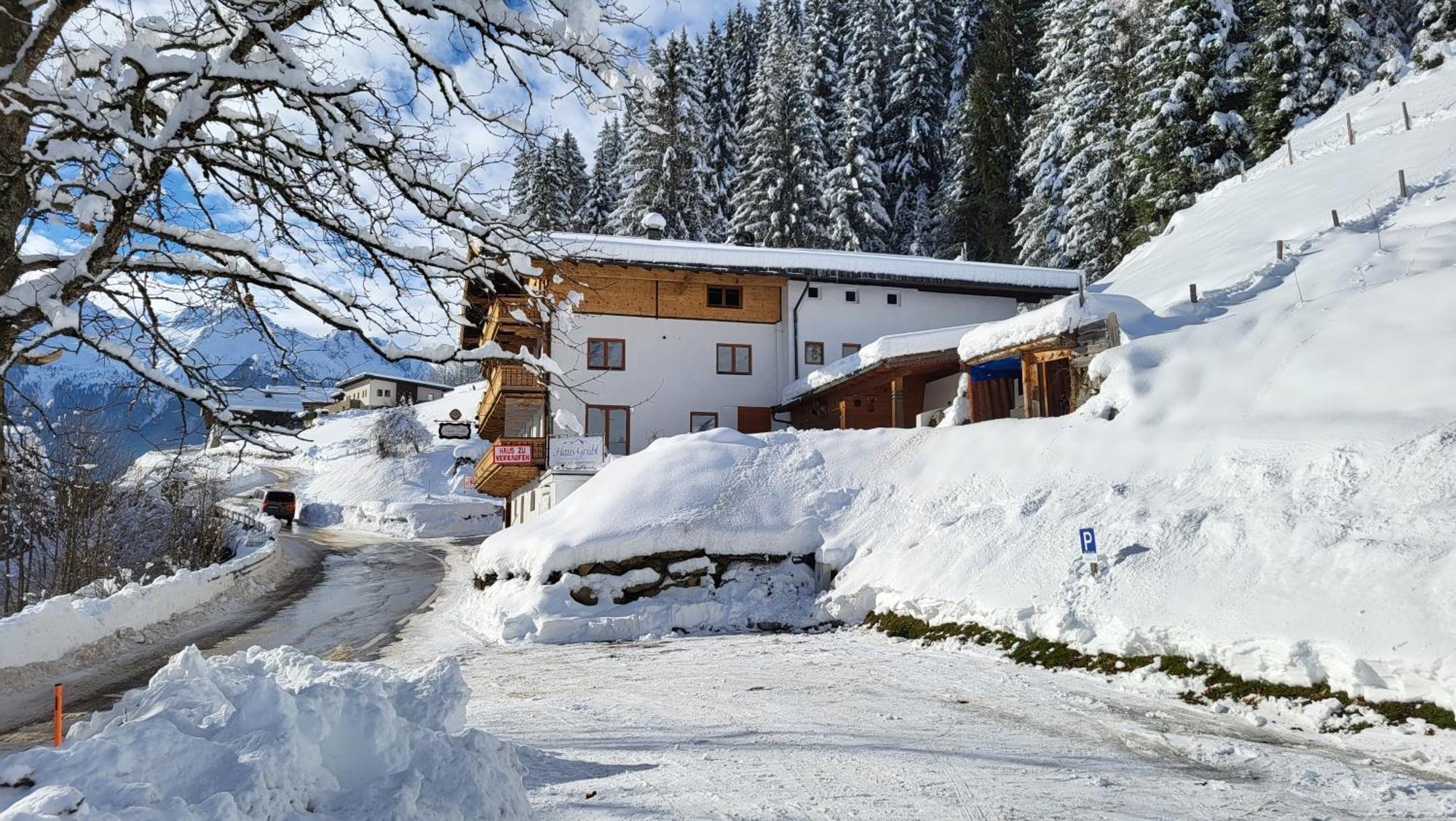 Haus Gruebl Aparthotel Wald im Pinzgau Exterior foto